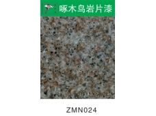 ZMN024