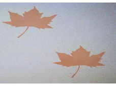 啄木鸟3D彩粒漆样板