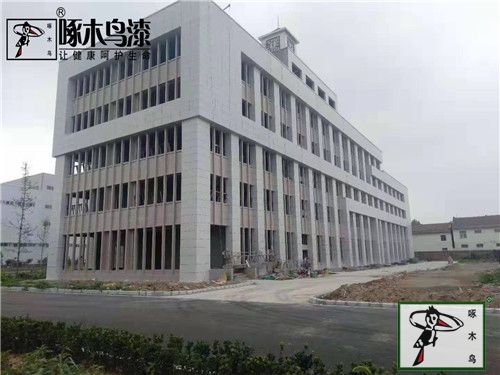 啄木鸟漆林州市诚雨电子涂装工程即将竣工